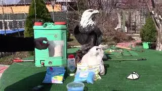 22. 03. 2025 год.  Первая весенняя обработка сада.