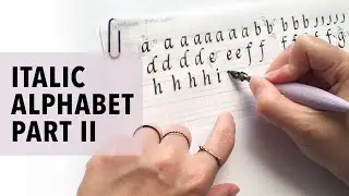 Italic Calligraphy - Alphabet Demo Part II - Broad Edge Pen Calligraphy Tutorial