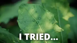 Trying MACRO PHOTOGRAPHY in Blender...