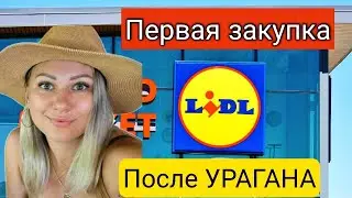 ВСЁ ЗАКОНЧИЛОСЬ‼️/Первая закупка продуктов после урагана/Lidl/Полная тележка/Южная Каролина/США/Влог