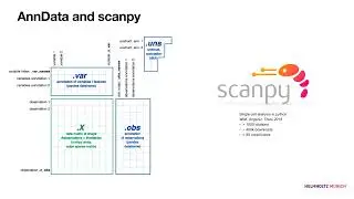 06 Basic QC and data analysis with Scanpy