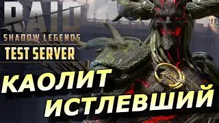 RAID: АННИГИЛЯТОР АРМАНЗА И НЕ ТОЛЬКО 💪 КАОЛИТ ИСТЛЕВШИЙ (ГАЙД/ОБЗОР) ЗБТ | Caoilte he Asharrow