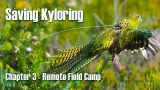 Saving Kyloring Chapter 3 - Remote field camp