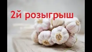 2й розыгрыш