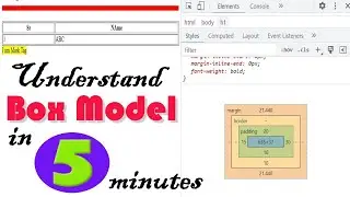 Box Model in HTML and CSS | Padding and Margin Properties using box Model