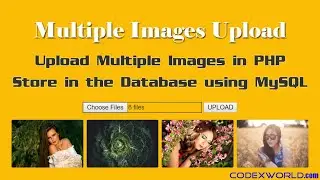 Upload Multiple Images and Store in Database using PHP and MySQL