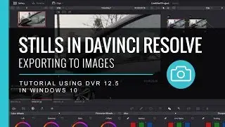 Exporting Stills in Davinci Resolve