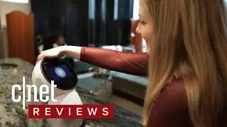 Jibo robot wants to be your familys best friend