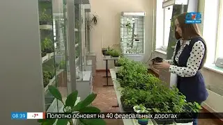 Пусть меня научат – специальность «садовник»