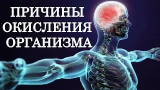 Причины окислительного стресса в организме. 16+