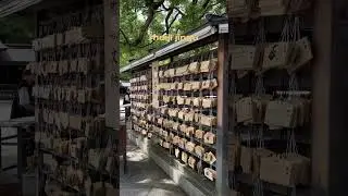 ☝️ Day in Harajuku ⛩️ Tokyo Itinerary 🇯🇵