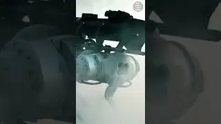 Flamethrower Dog 