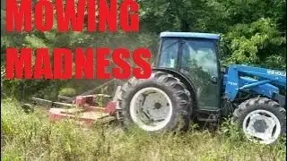 Bush Hogging Tractor Mowing Satisfaction 7 feet Tall !