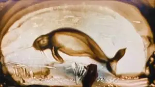 1 серия. Стеллерова корова. Жертвы Цивилизации. Sand ART