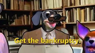 Papas Gatito 21