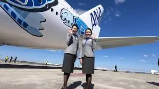 ANA A380 #FlyingHonu delivery highlights