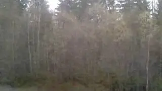 Spring in Norway, 4th of May