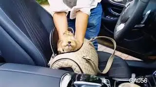 Сумка переноска для собаки и автомобильное кресло