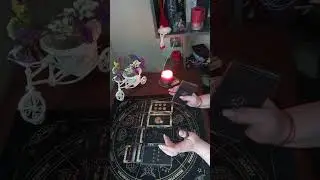 🙄🤔 ЧУВСТВУЕТ ЛИ ОН СВОЮ ВИНУ⁉️🙀