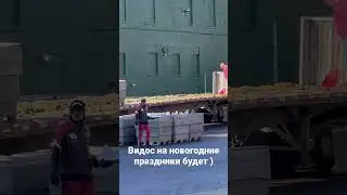 Накормили меня огурцами с лопаты