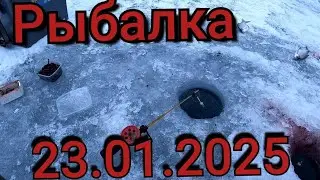 Рыбалка на поплавок 23 января 2025 г. на озере.Вот где стоит,вся рыба глубина 9 м! Зимняя рыбалка.