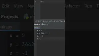 Integers or int in Python 