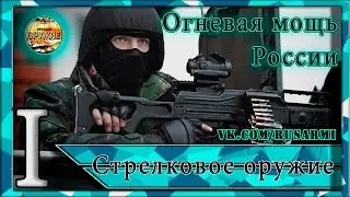 Modern Russian small arms 2016. The machine guns , submachine guns , light machine guns and rifles .