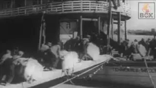 Loading Cotton Bales on a Steamboat : A Depression - Era Perspective