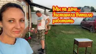 РАБОТАЮ НА ДАЧЕ/Я ОБИДЕЛАСЬ НА ВИТАЛЮ/А ВИТАЛЯ ОБИДЕЛСЯ НА ЗРИТЕЛЕЙ/ЧТО СЛУЧИЛОСЬ?