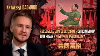 «Всеобщее процветание»:  Новая Культурная революция или социализм Си Цзиньпина?(Evergrande)  Вавилов