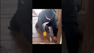 renovation of an old house