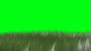 illusion green screen effects