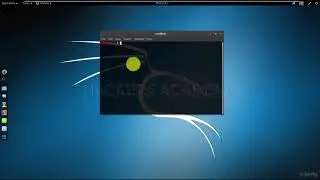 002 Терминал Kali Linux