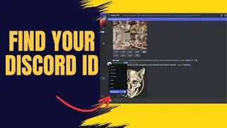 How to find discord id 2024