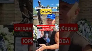 в жаркий день уход на могиле Юры Шатунова #shorts #шатунов #shortvideo #2024 #белыерозы #ласковыймай