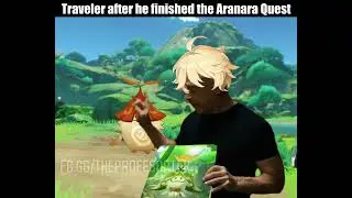 The  Aranara Quest effect