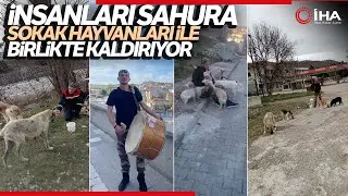 Hayvansever Ramazan Davulcusunu Sokak Hayvanları Yalnız Bırakmıyor