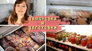 ЗАМОРОЗКА ПРОДУКТОВ на зиму. МЯСО, ЯГОДЫ, ОВОЩИ, ЗЕЛЕНЬ // Обзор МОРОЗИЛЬНЫХ КАМЕР // Обзор ПОГРЕБА
