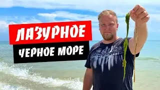 Лазурное. Обзор моря и пляжа. Медузы уже тут! Цены в Лазурном