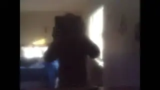 Moaning Sound On My Beethoven 1992 Vhs Version 1