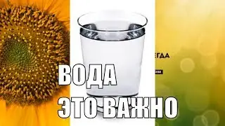 Зачем нужно выпивать стакан воды перед сном