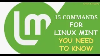 15 Linux Networking Commands you Should know for Linux Mint