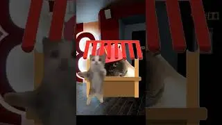 happy happy cat saves banana cat and Freddy serial ep. 3 