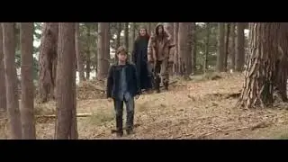 Гарри Поттер за кадром