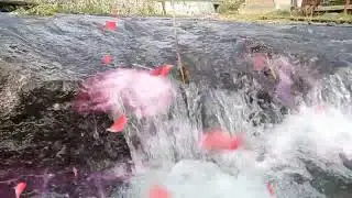 natural water fall at the river for relaxation