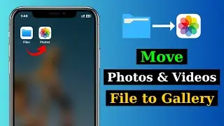 How To Move/Transfer Photos & Videos From Files to Gallery on iPhone (Full Guide)