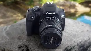 Canon T7 Review in 2020  | Still Worth The Buy