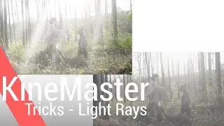 Light Rays 