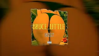 Bruce Little - Nesly