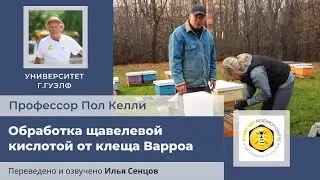 Обработка щавелевой кислотой от клеща Варроа (капельный метод или метод пролива)